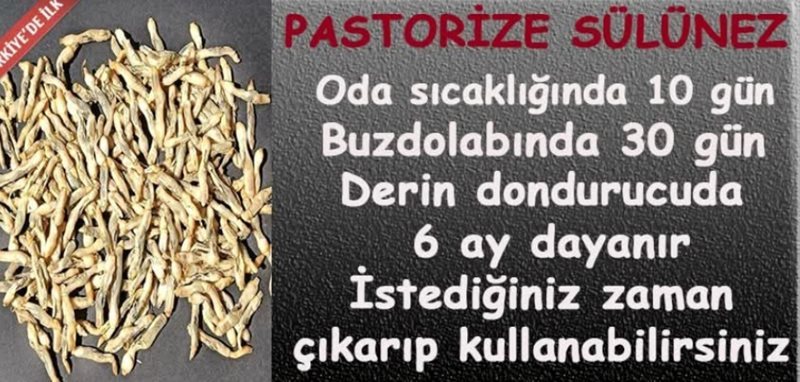 Pastiröze Sülünez (100 Adet)