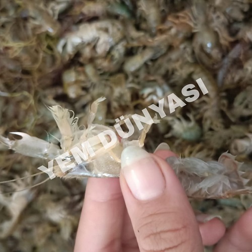 Canlı Mamun (250 GR)